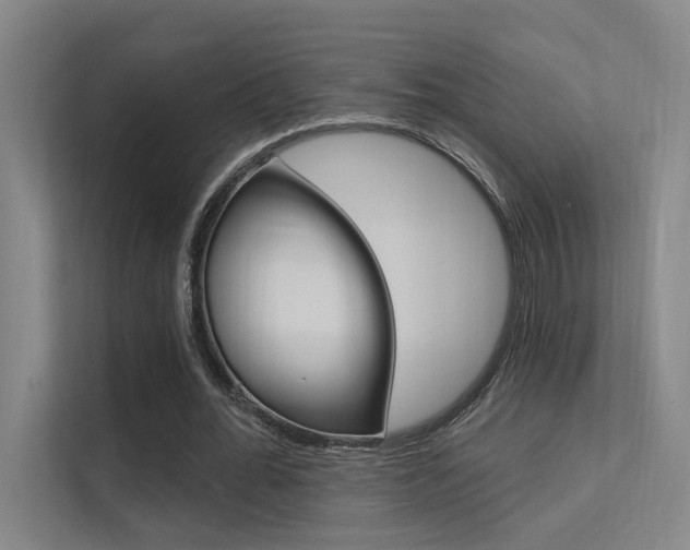 X0000112380676200908131324