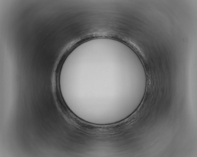 X0000112380678200908131324