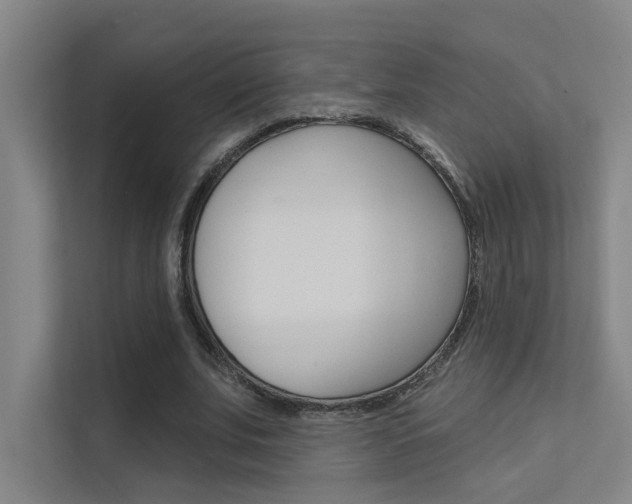 X0000112380679200908131324