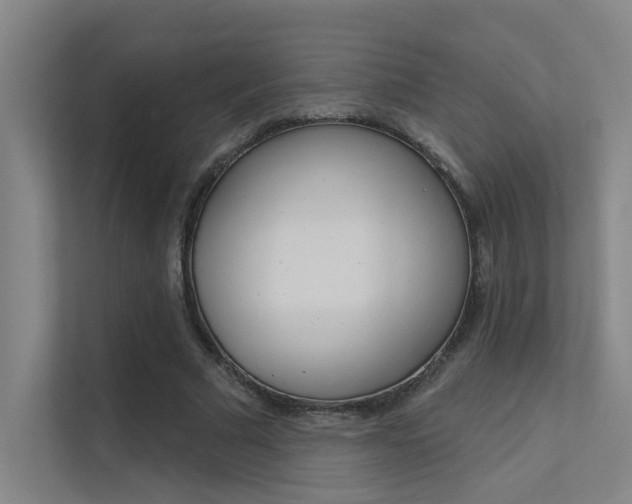 X0000112380681200908131324