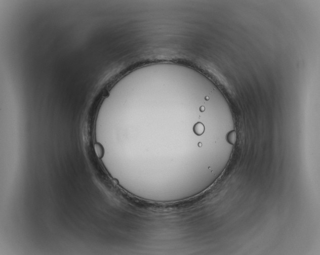 X0000112380683200908131324