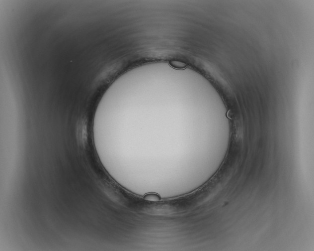 X0000112380685200908131324