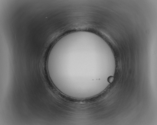 X0000112380687200908131324