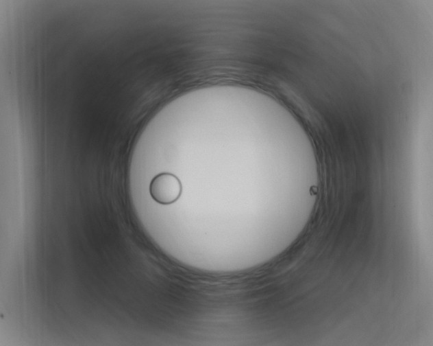 X0000112380696200908131324