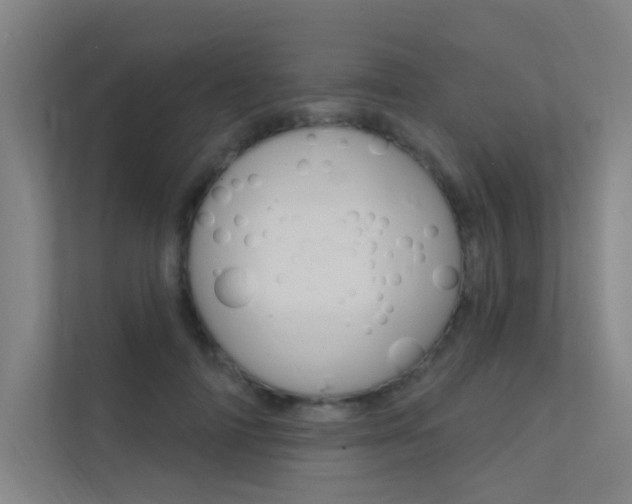 X0000112380698200908131324