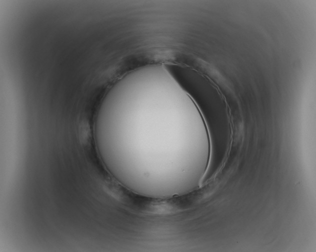 X0000112380704200908131324