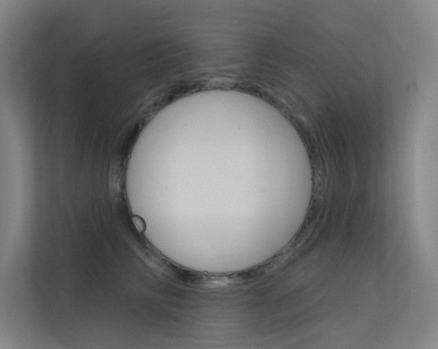 X0000112380710200908131324