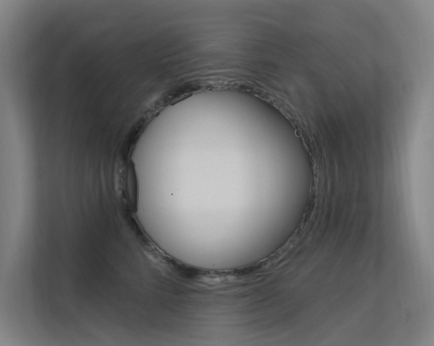 X0000112380712200908131324