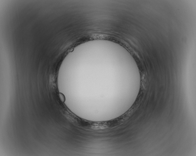 X0000112380714200908131324