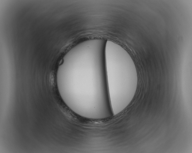 X0000112380715200908131324