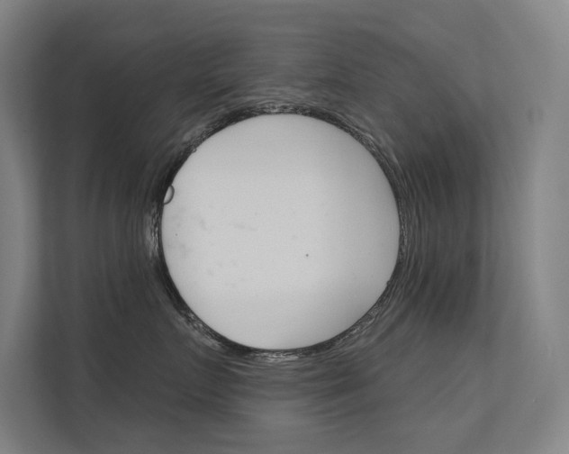 X0000112380719200908131324
