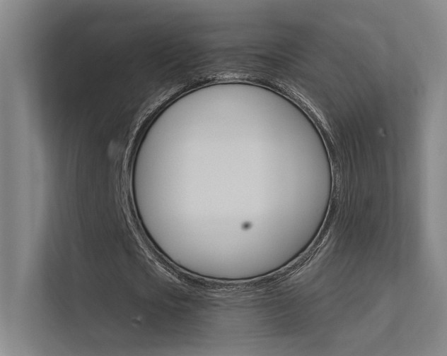 X0000112380721200908131323
