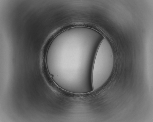 X0000112380728200908131323