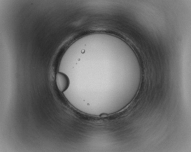 X0000112380731200908131323