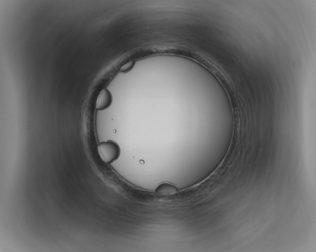 X0000112380732200908131323