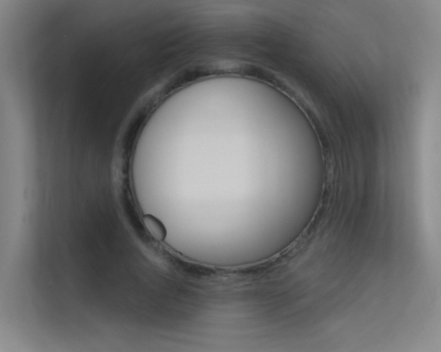 X0000112380736200908131323