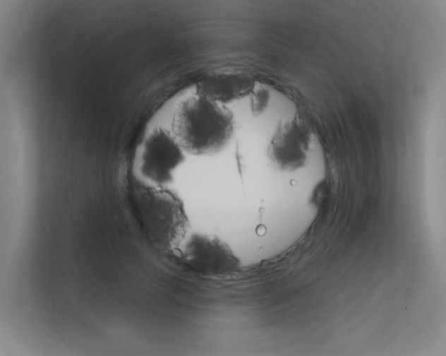 X0000112380745200908131323