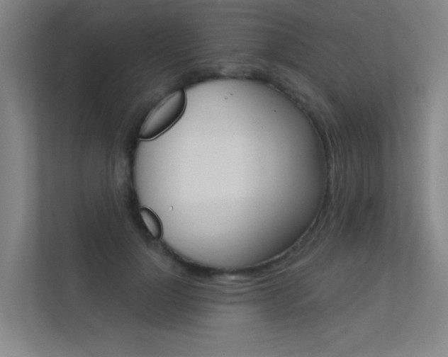X0000112380748200908131323