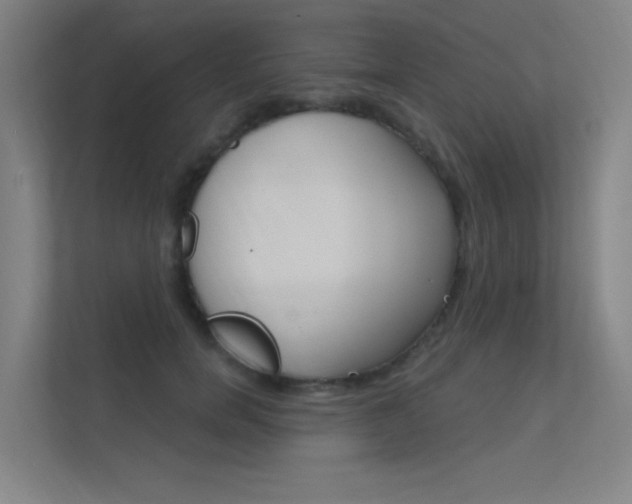 X0000112380750200908131323