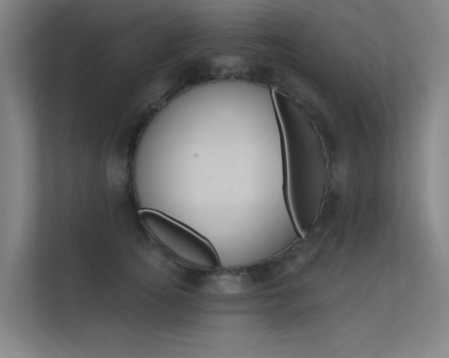 X0000112380756200908131323