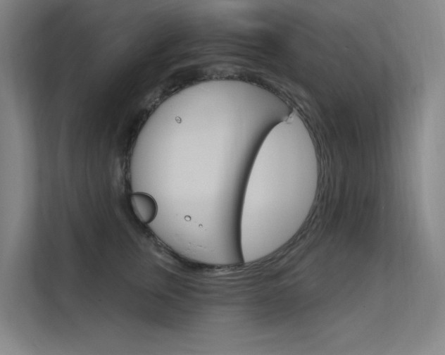 X0000112380759200908131323