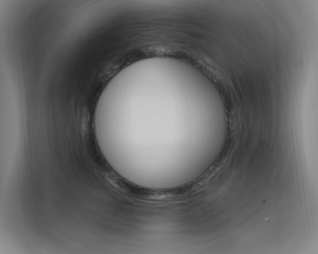 X0000112380760200908131323
