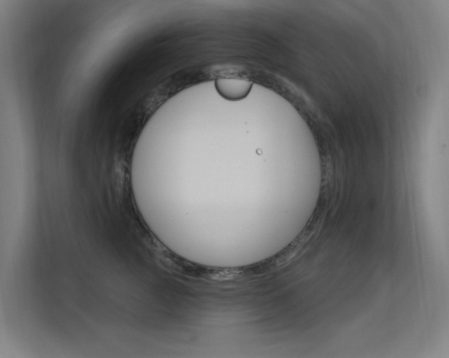 X0000112380761200908131323