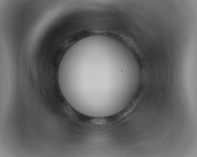 X0000112380762200908131323