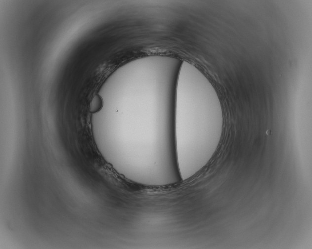 X0000112380763200908131323