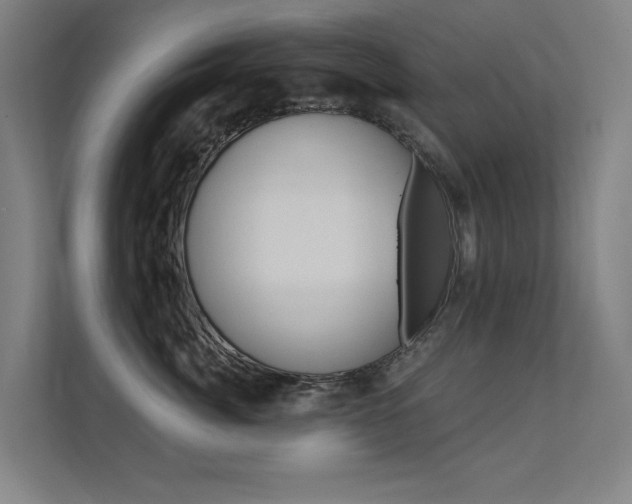 X0000112380764200908131323