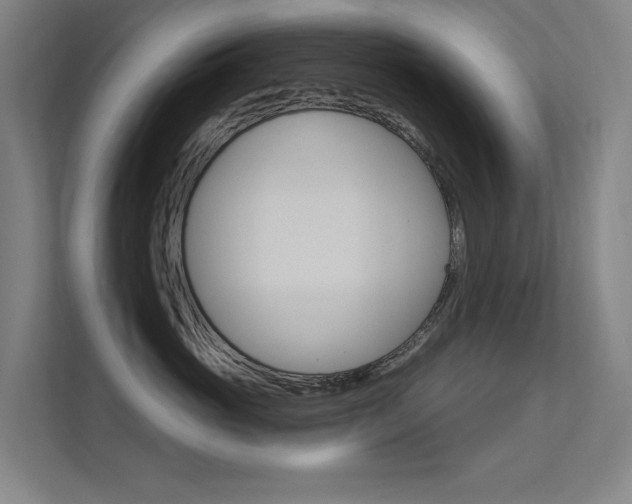 X0000112380765200908131323