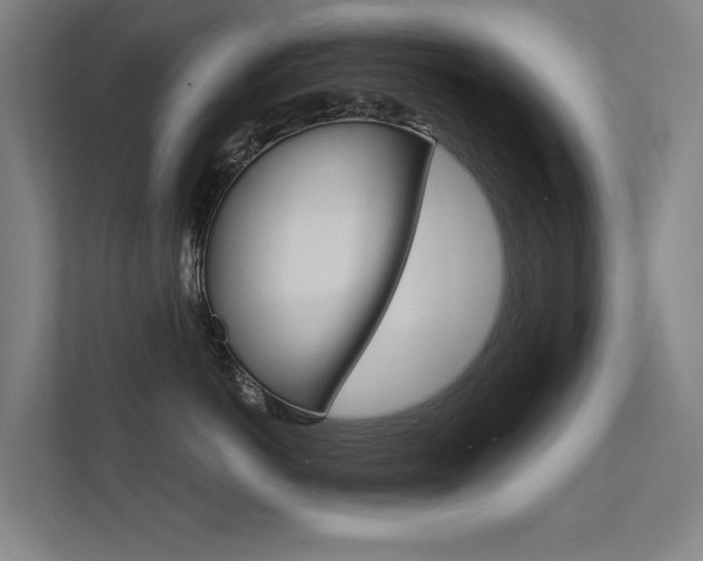 X0000112380766200908131324