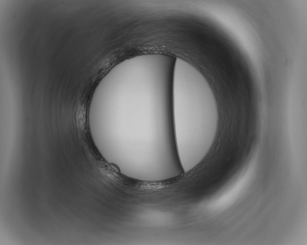 X0000112380767200908131324
