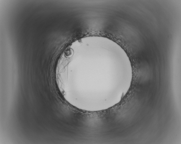 X0000112380769200908131323