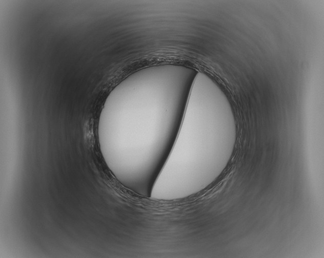 X0000112380771200908131323