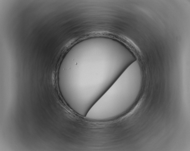 X0000112380777200908131323