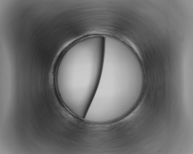 X0000112380779200908131323