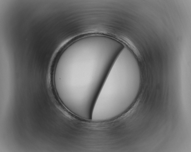 X0000112380780200908131323