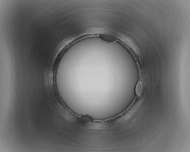 X0000112380781200908131323