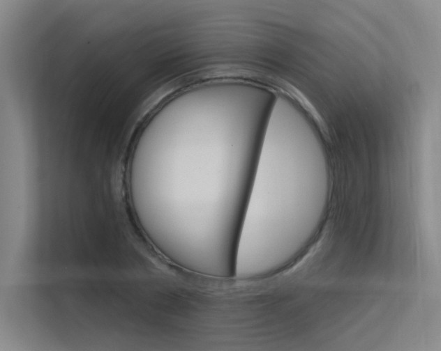 X0000112380786200908131323