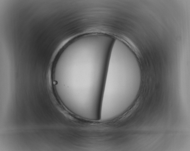 X0000112380788200908131323