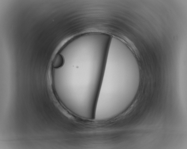 X0000112380796200908131323