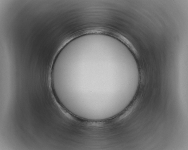 X0000112380802200908131322