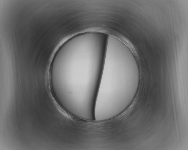 X0000112380808200908131322