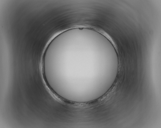 X0000112380811200908131322