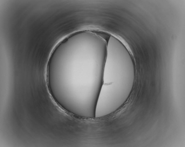 X0000112380815200908131322
