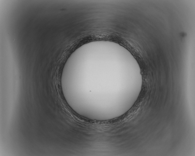 X0000112380817200908131322