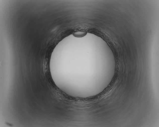 X0000112380818200908131322