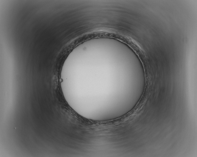 X0000112380821200908131322