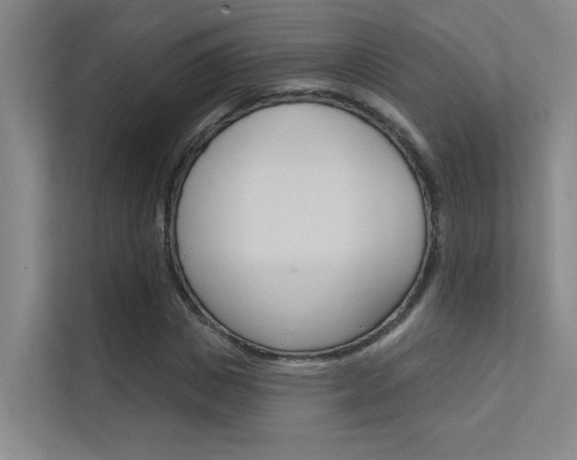 X0000112380825200908131322